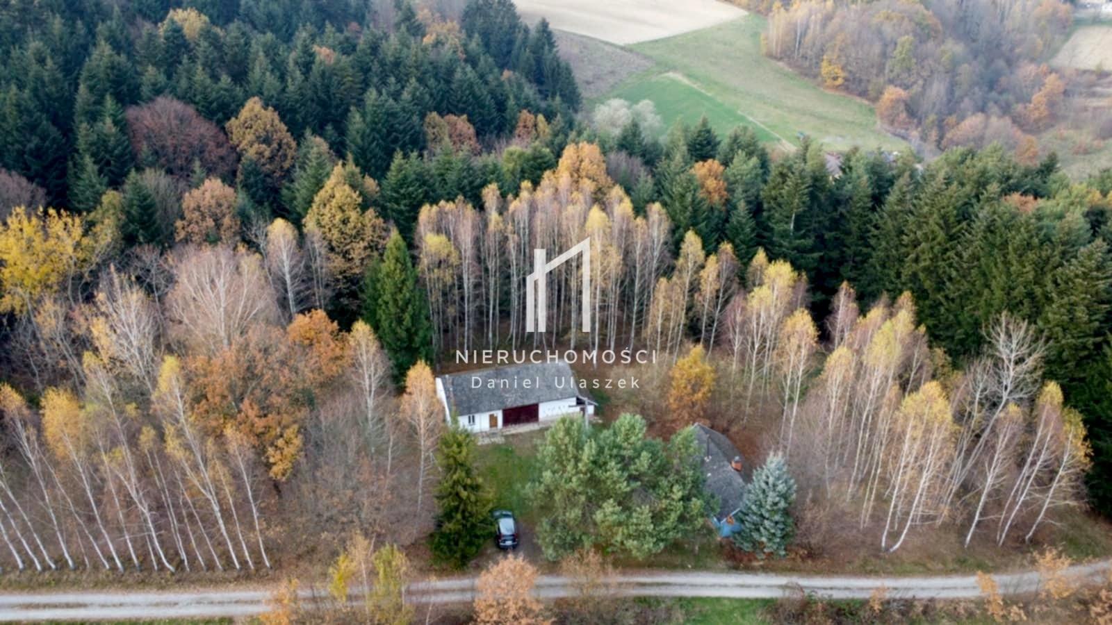Klimatyczne siedlisko z domem i lasem, Skołyszyn, 27ar