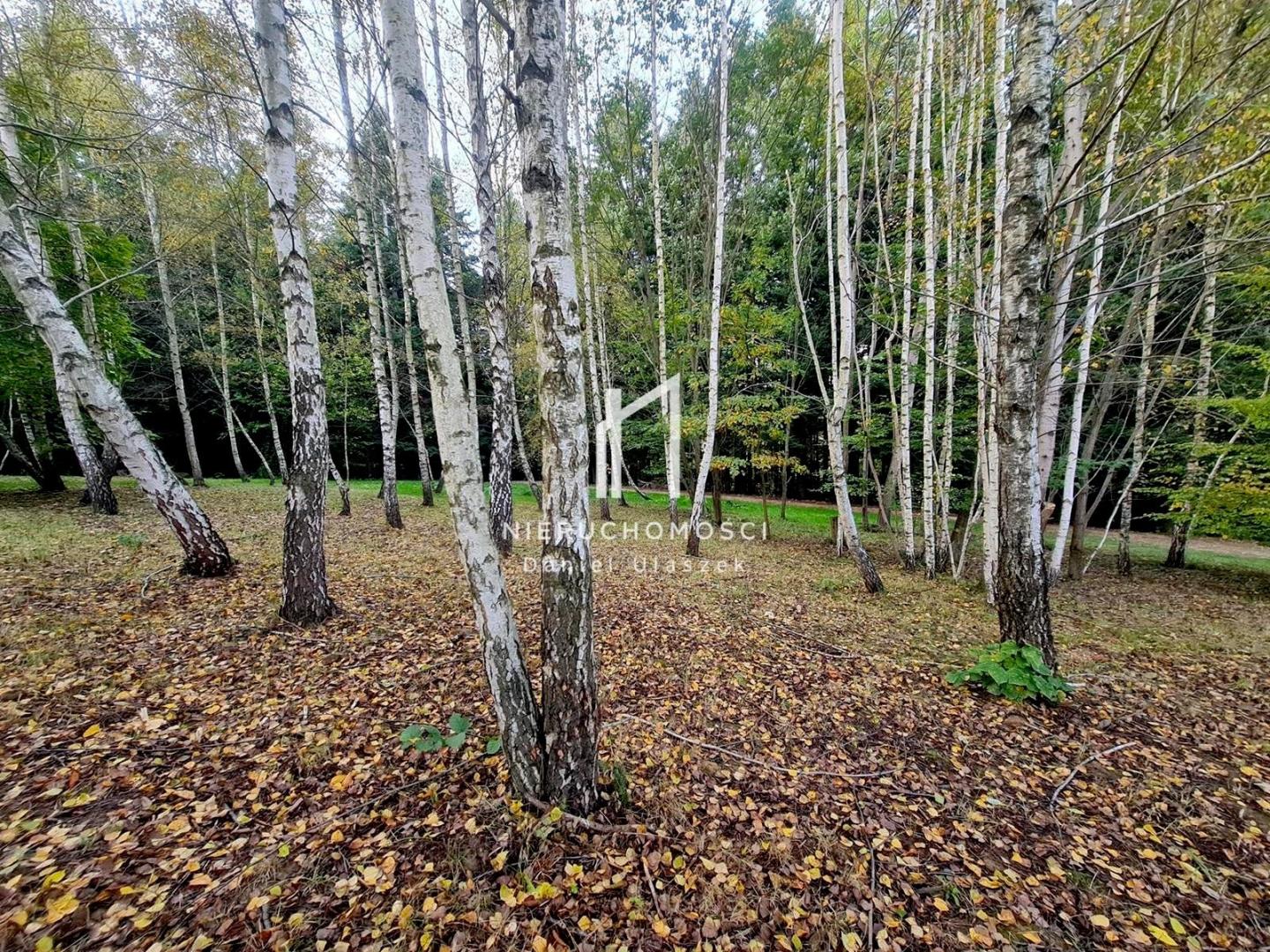 Klimatyczne siedlisko z domem i lasem, Skołyszyn, 27ar