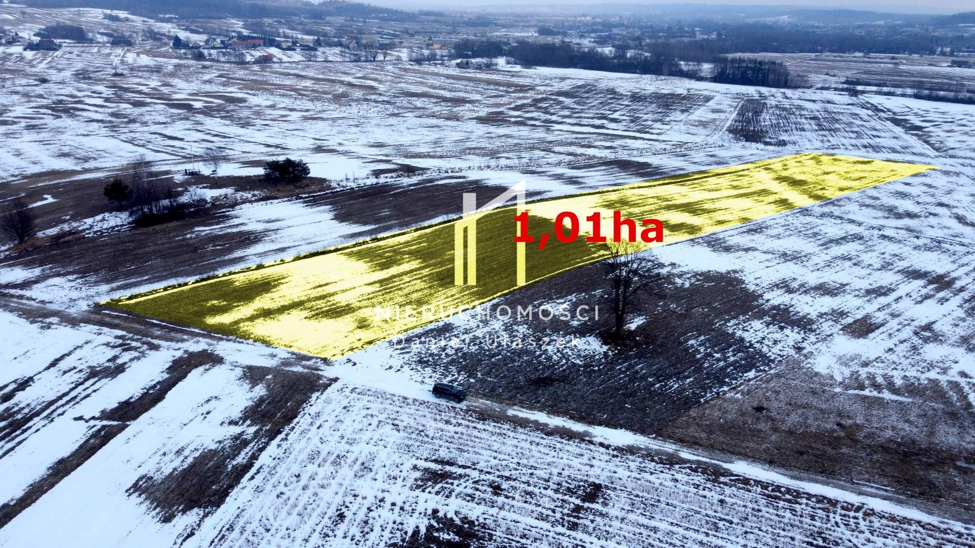 Duża działka rolna, Pagórek, 1,01ha