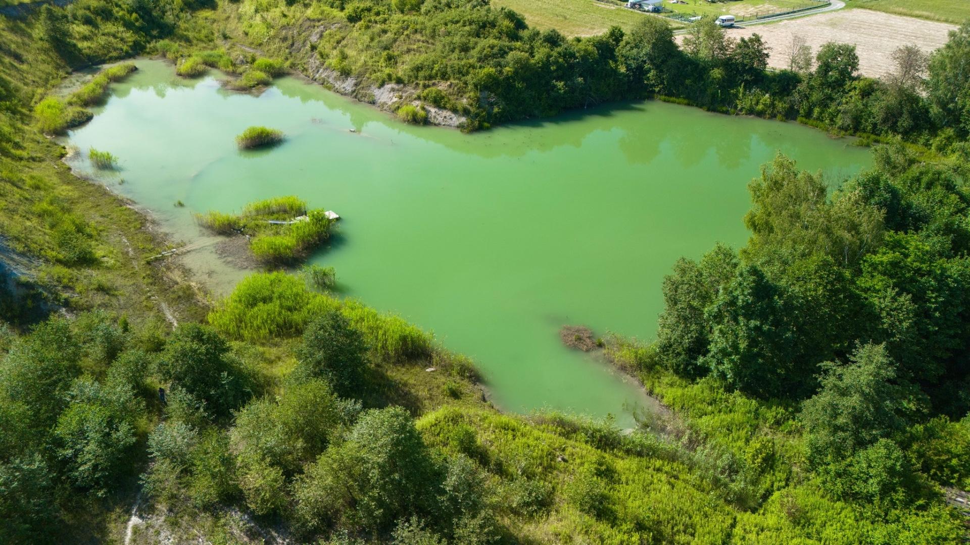 Działka ze starą cegielnią - 5,2 ha - Bieździadka