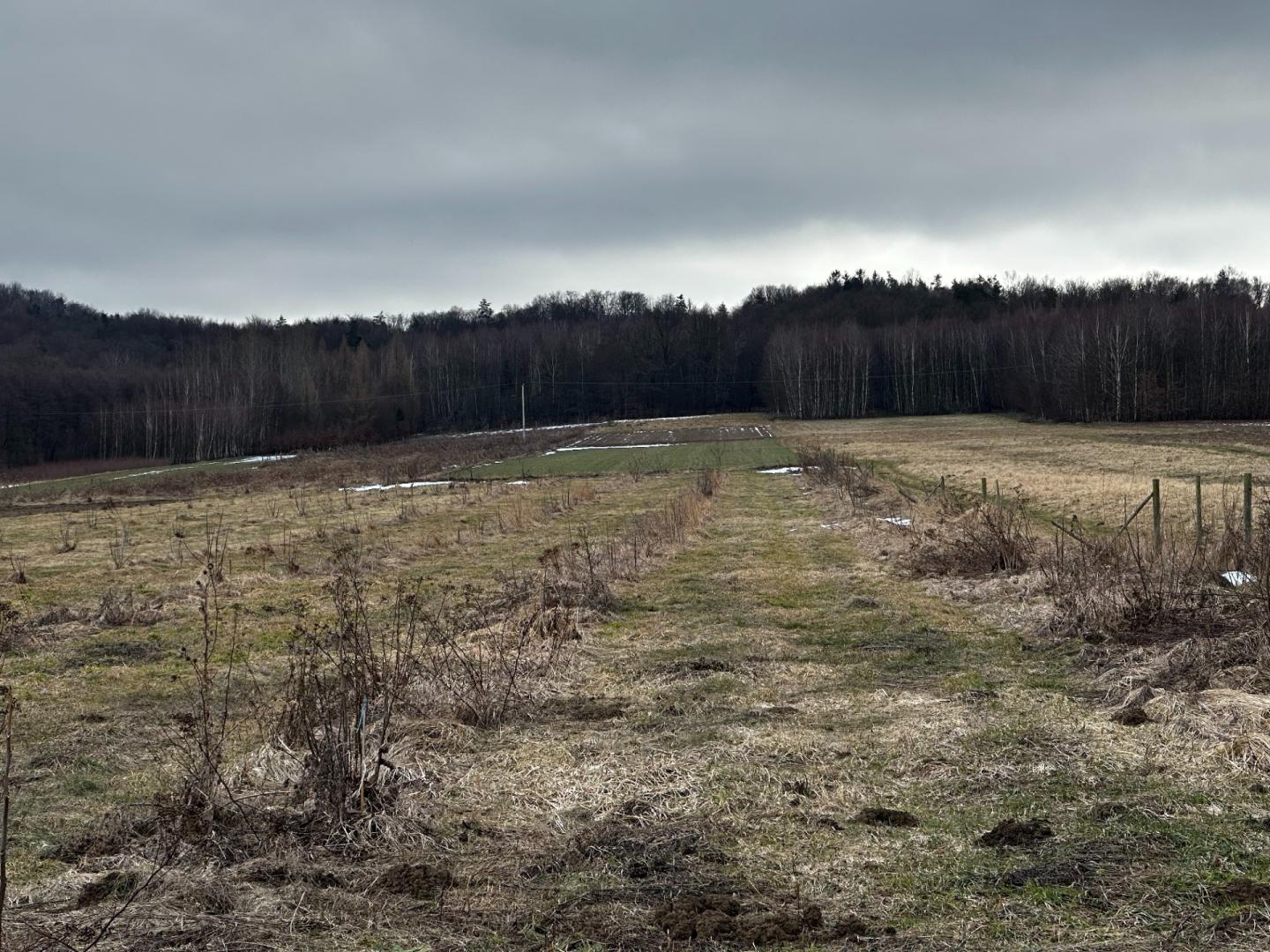Działka w Kopytowej