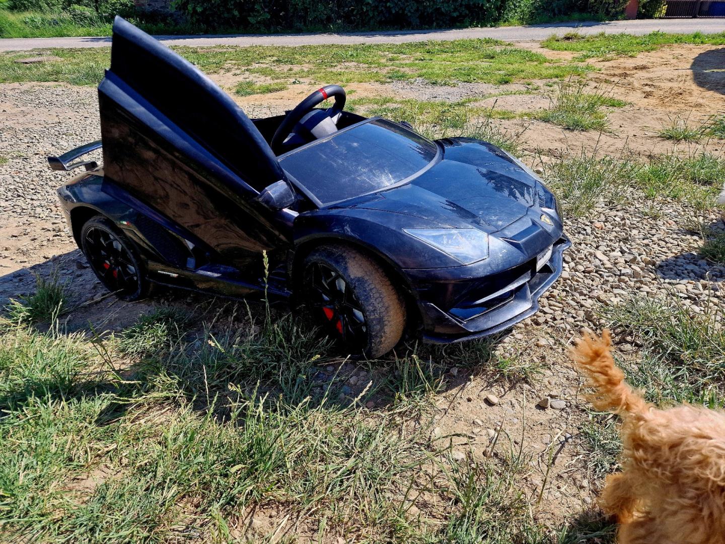 Lamborghini na akumulator sport