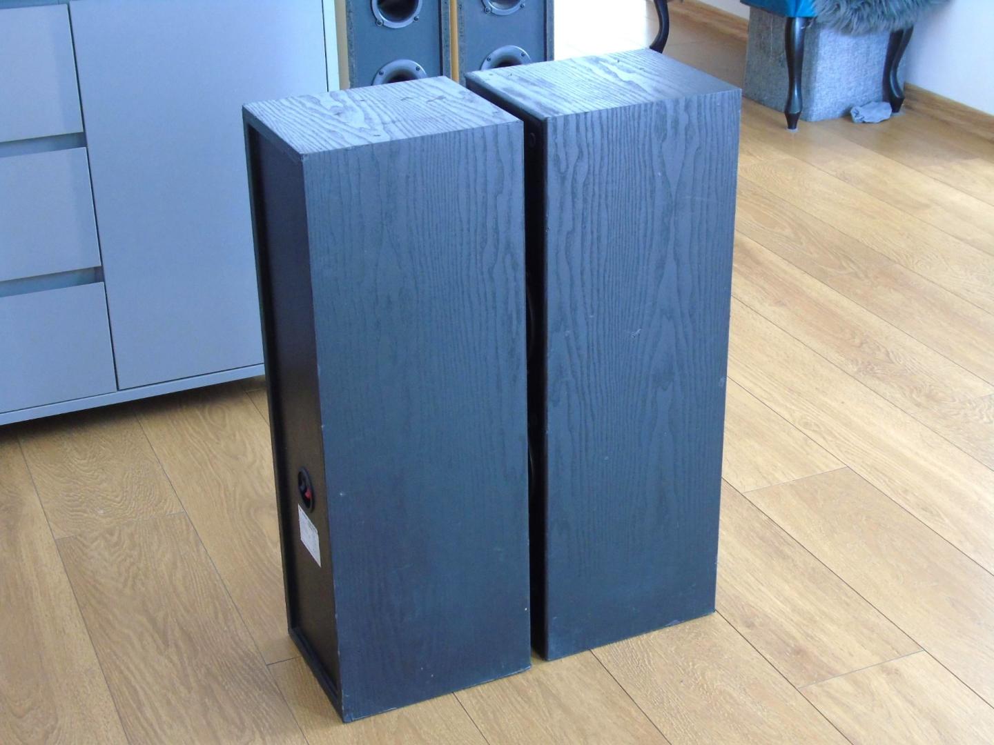 Kolumny Schneider Team 2x 150 wat świetne stereo. DOSTAWA
