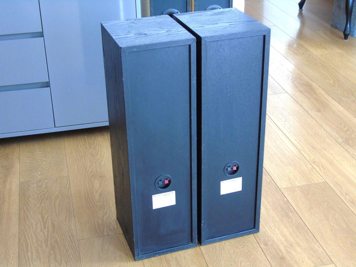 Kolumny Schneider Team 2x 150 wat świetne stereo. DOSTAWA