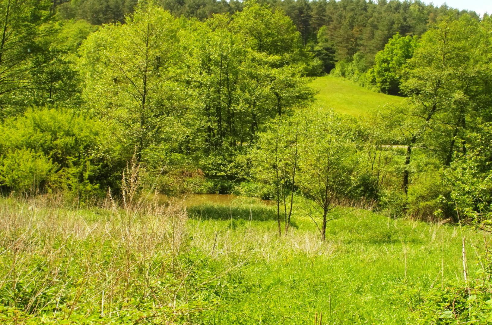 Żohatyn gm. Bircza działka 61 arów możliwość dokupienia dużej działki