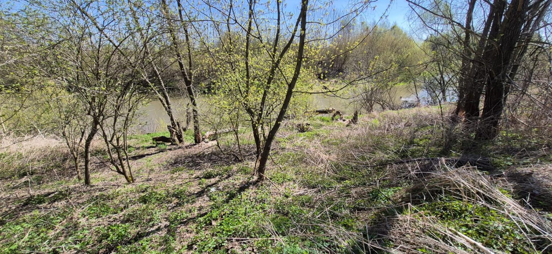 Czarna gm. Lańcut działka 10 arów nad Wisłokiem