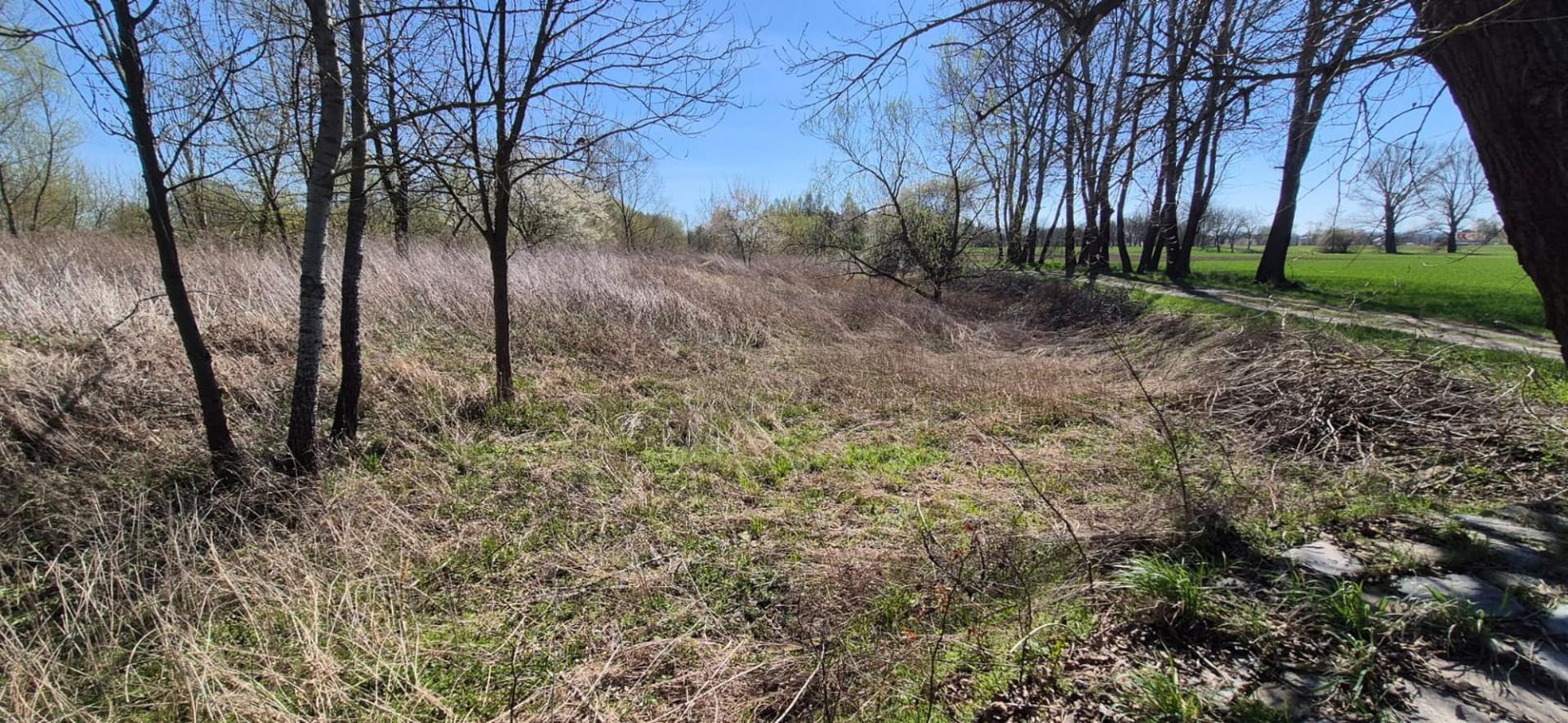 Czarna gm. Lańcut działka 10 arów nad Wisłokiem