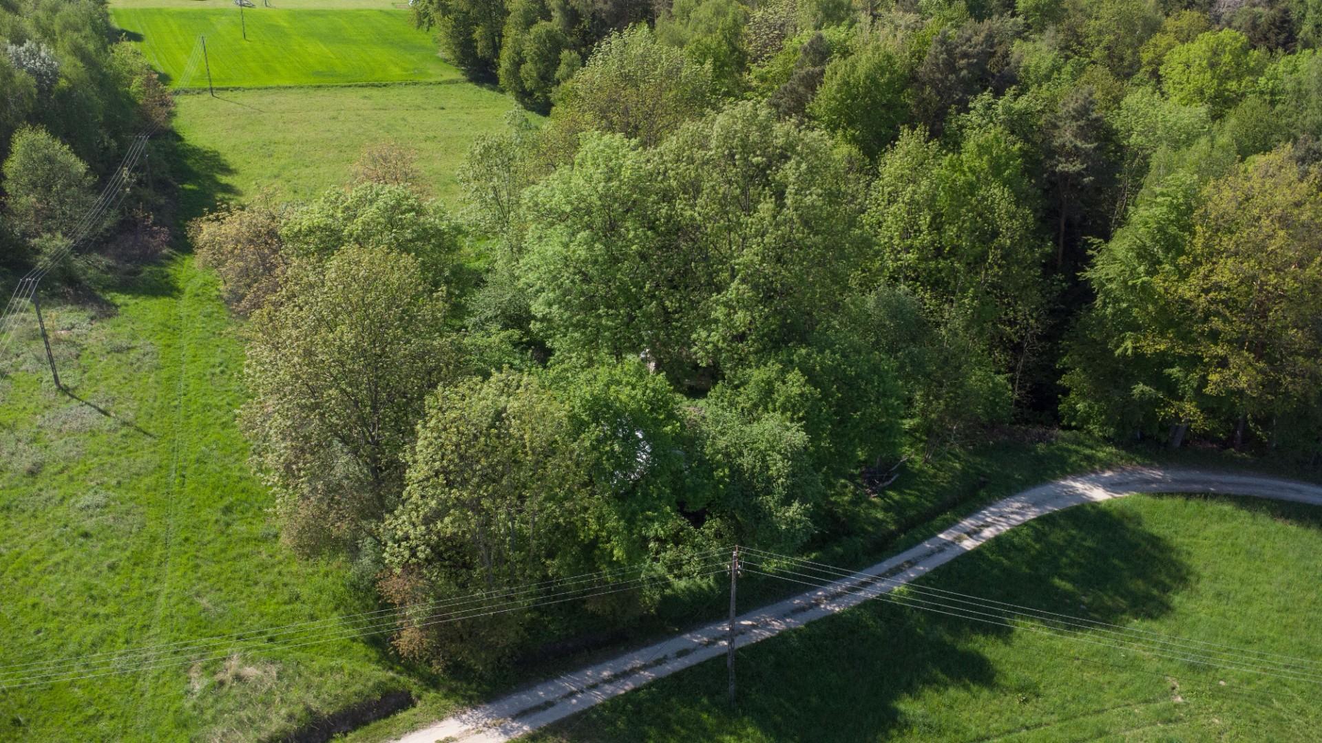 Działka 70ar w spokojnej okolicy, 15 min od jasła
