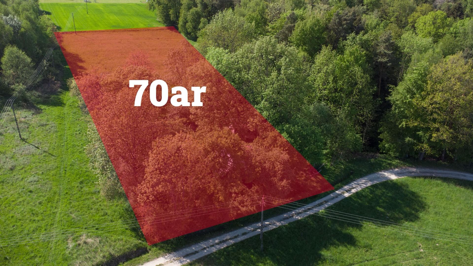 Działka 70ar w spokojnej okolicy, 15 min od jasła