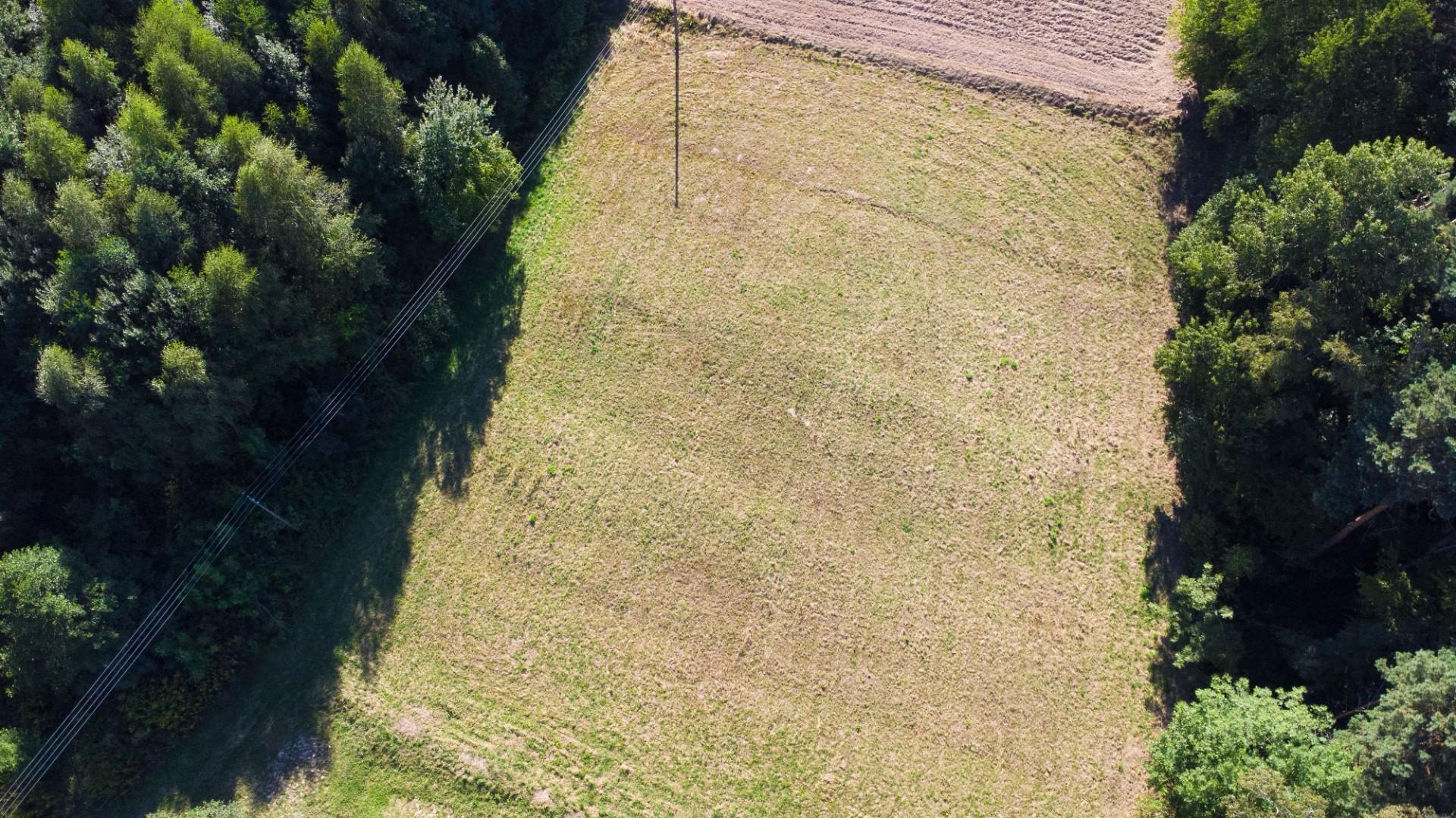 Działka 70ar w spokojnej okolicy, 15 min od jasła