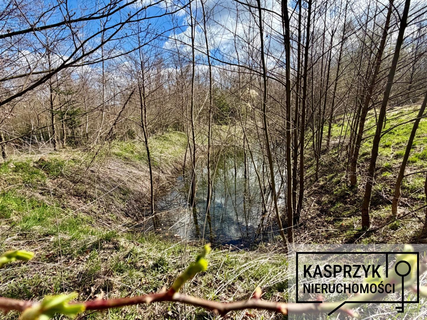 Duża działka z z fundamentami i garażem w Ujeździe.