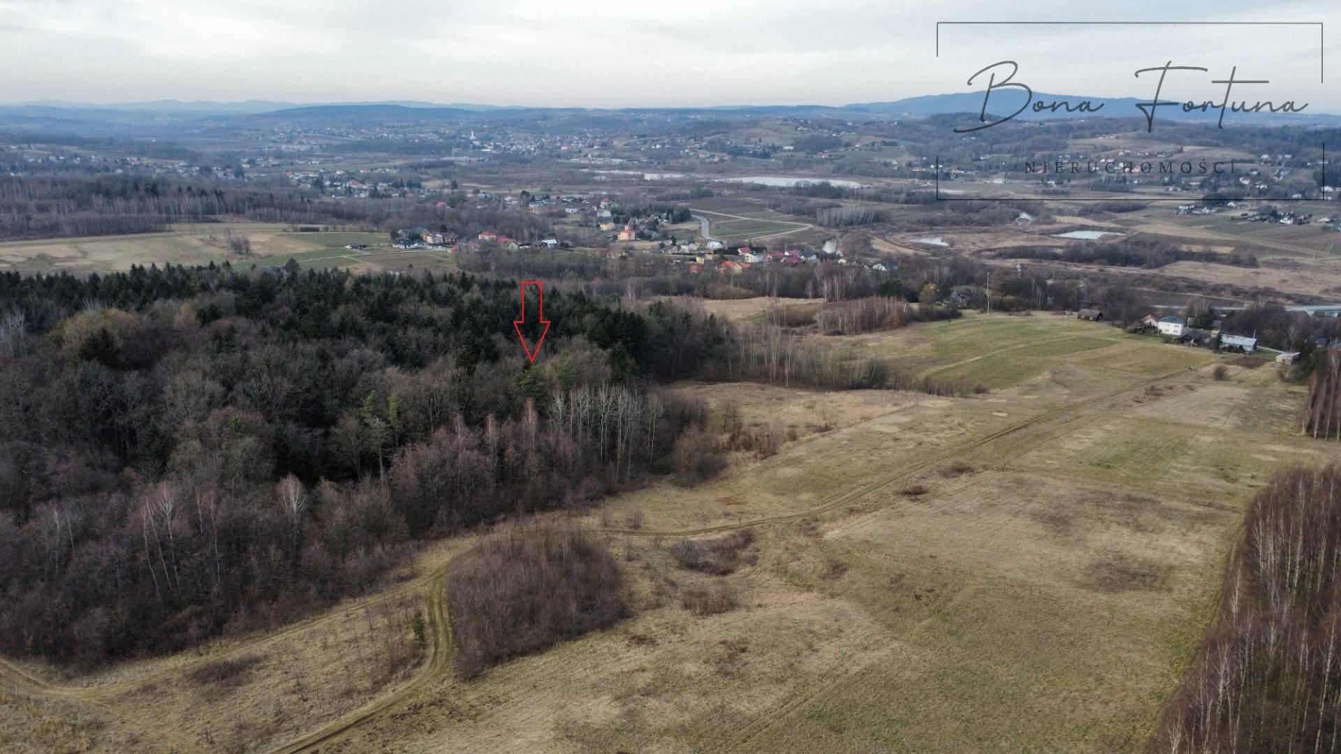 Działka leśna LAS 1,0520 ha Przysieki Przysieczki - gmina Skołyszyn