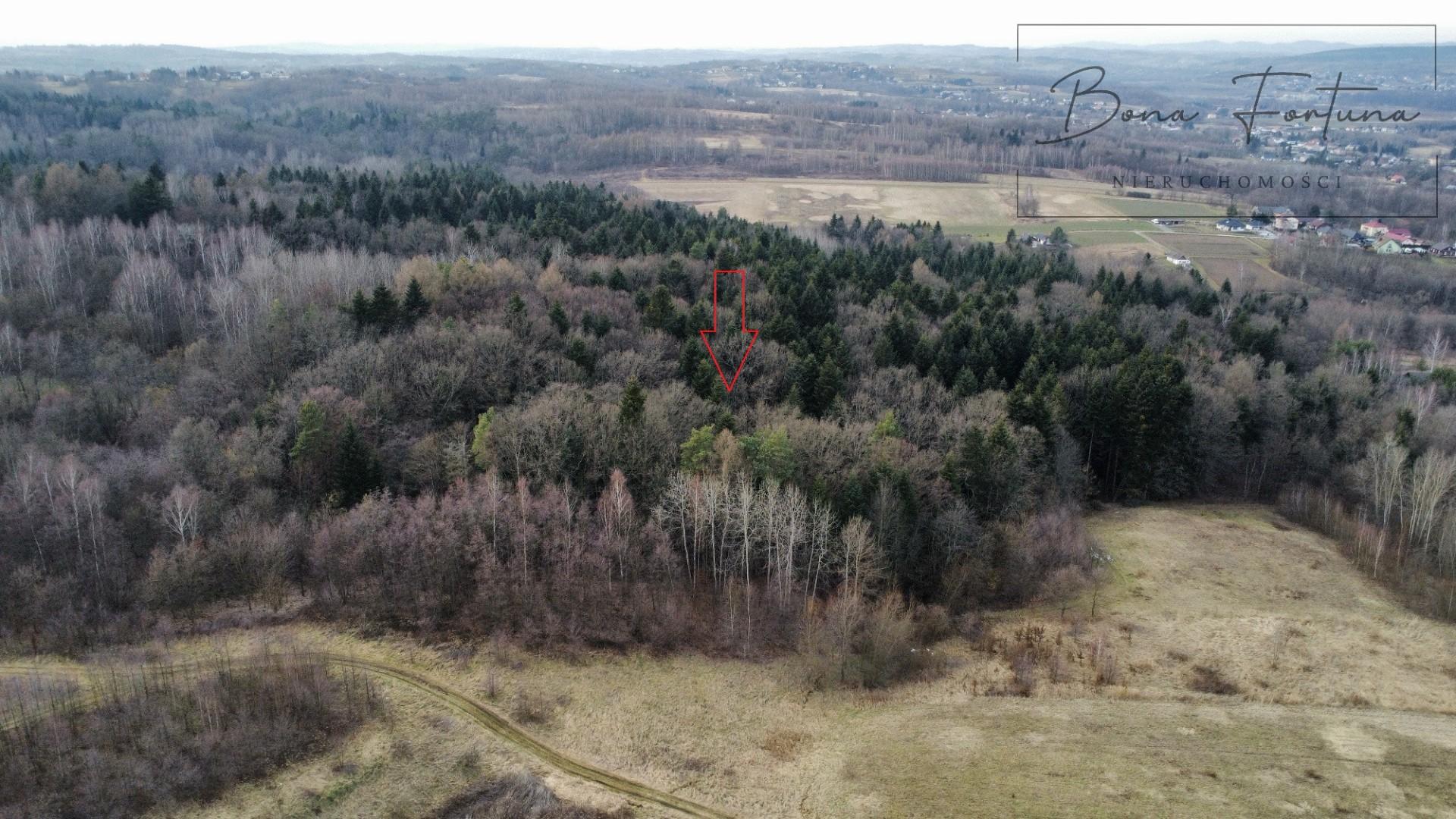 Działka leśna LAS 1,0520 ha Przysieki Przysieczki - gmina Skołyszyn