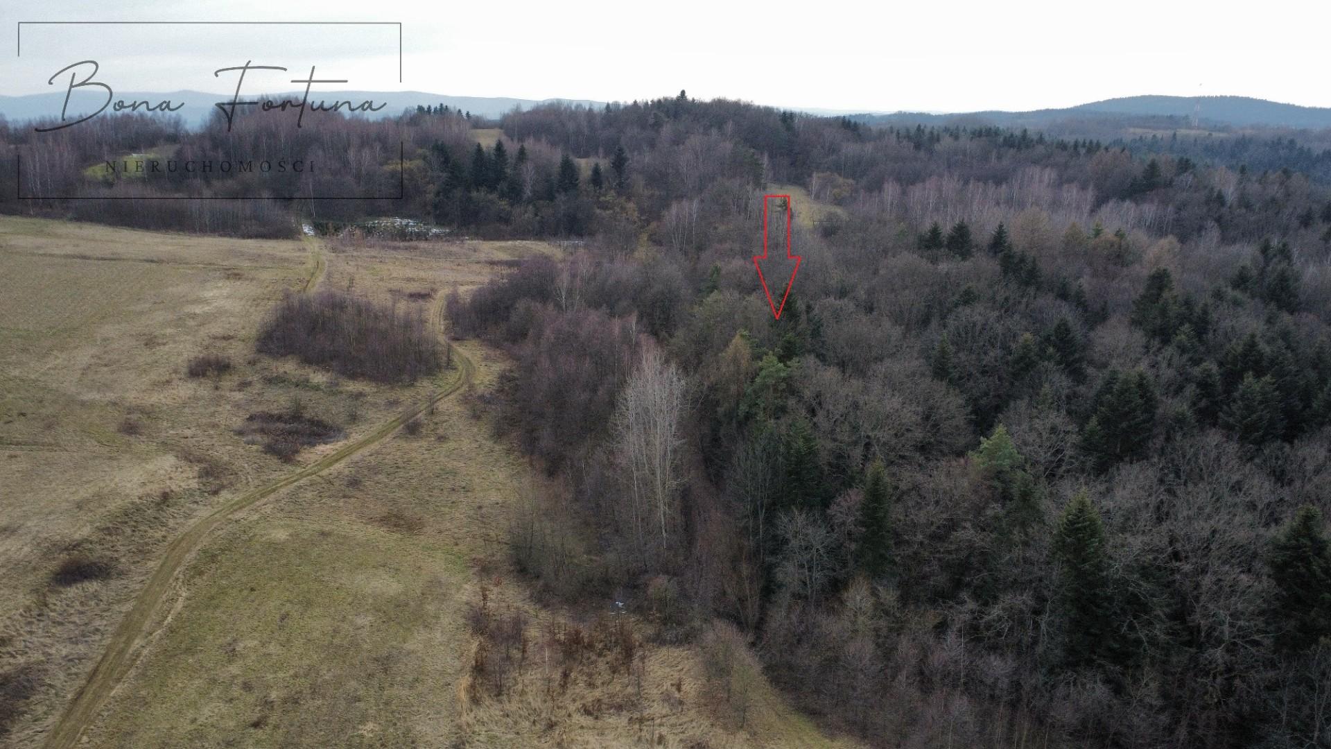 Działka leśna LAS 1,0520 ha Przysieki Przysieczki - gmina Skołyszyn