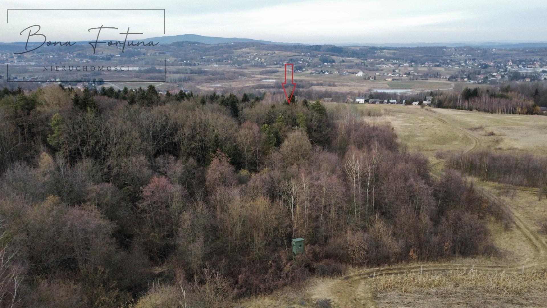 Działka leśna LAS 1,0520 ha Przysieki Przysieczki - gmina Skołyszyn