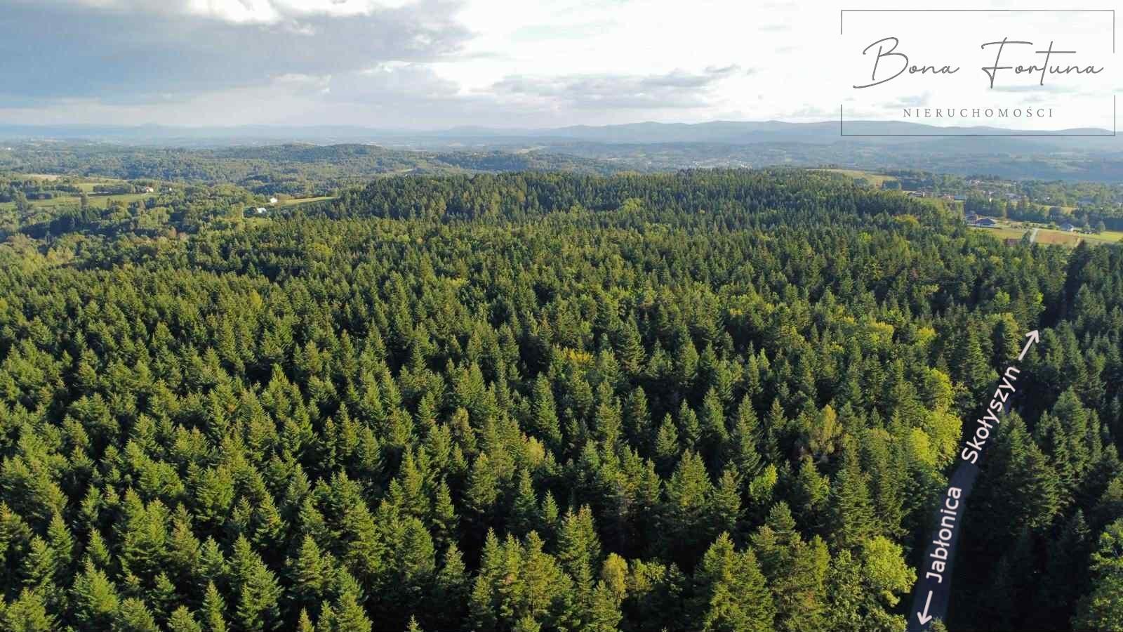 działki leśne (jodła) w bączalu górnym 0,8054 - 1,3351 ha nowa cena