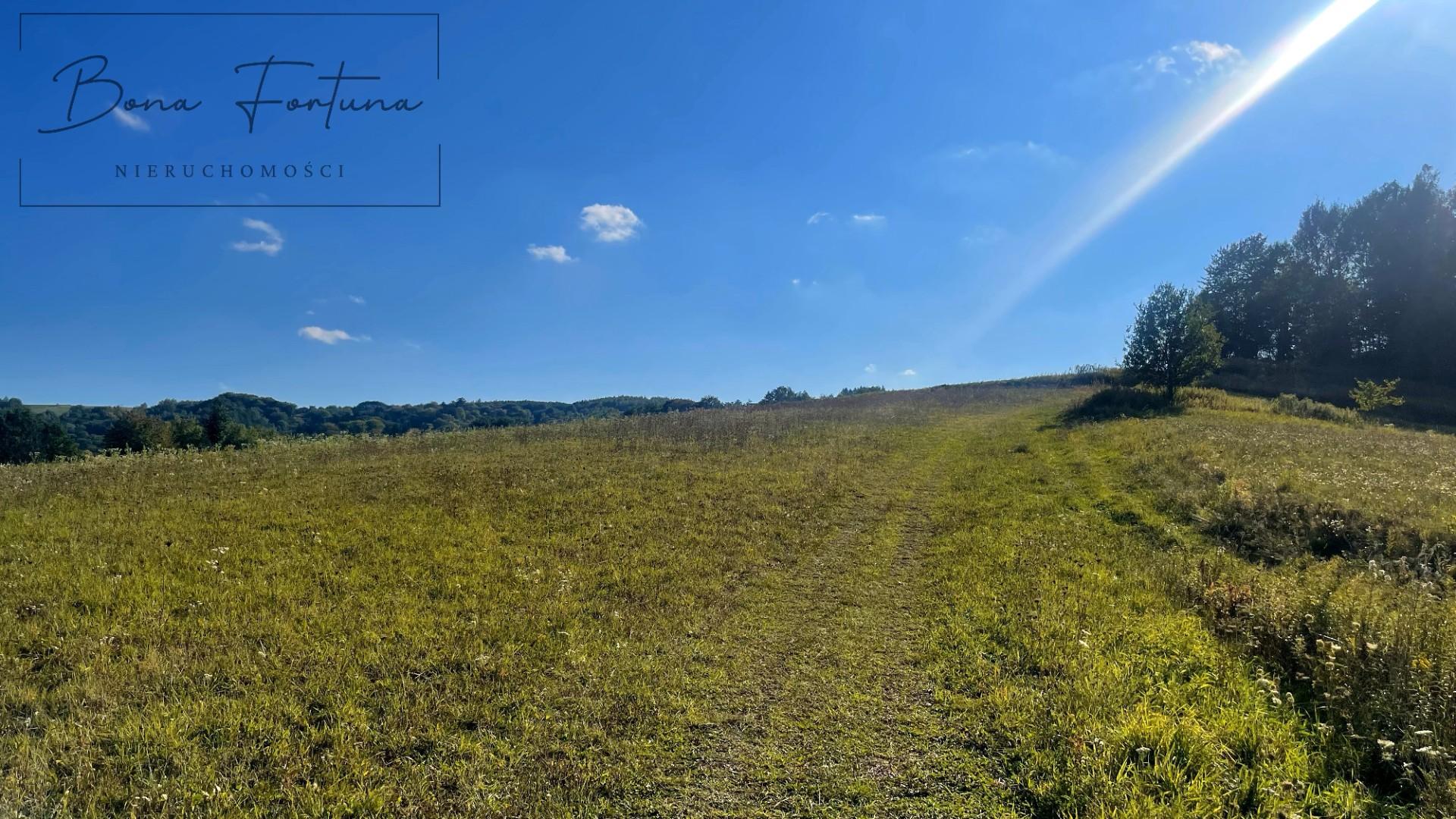 Działki rolno-leśne 2,60 ha - Gogołów, gmina Frysztak