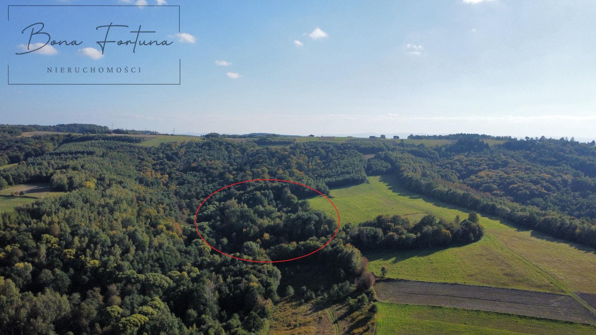 Działki rolno-leśne 2,60 ha - Gogołów, gmina Frysztak