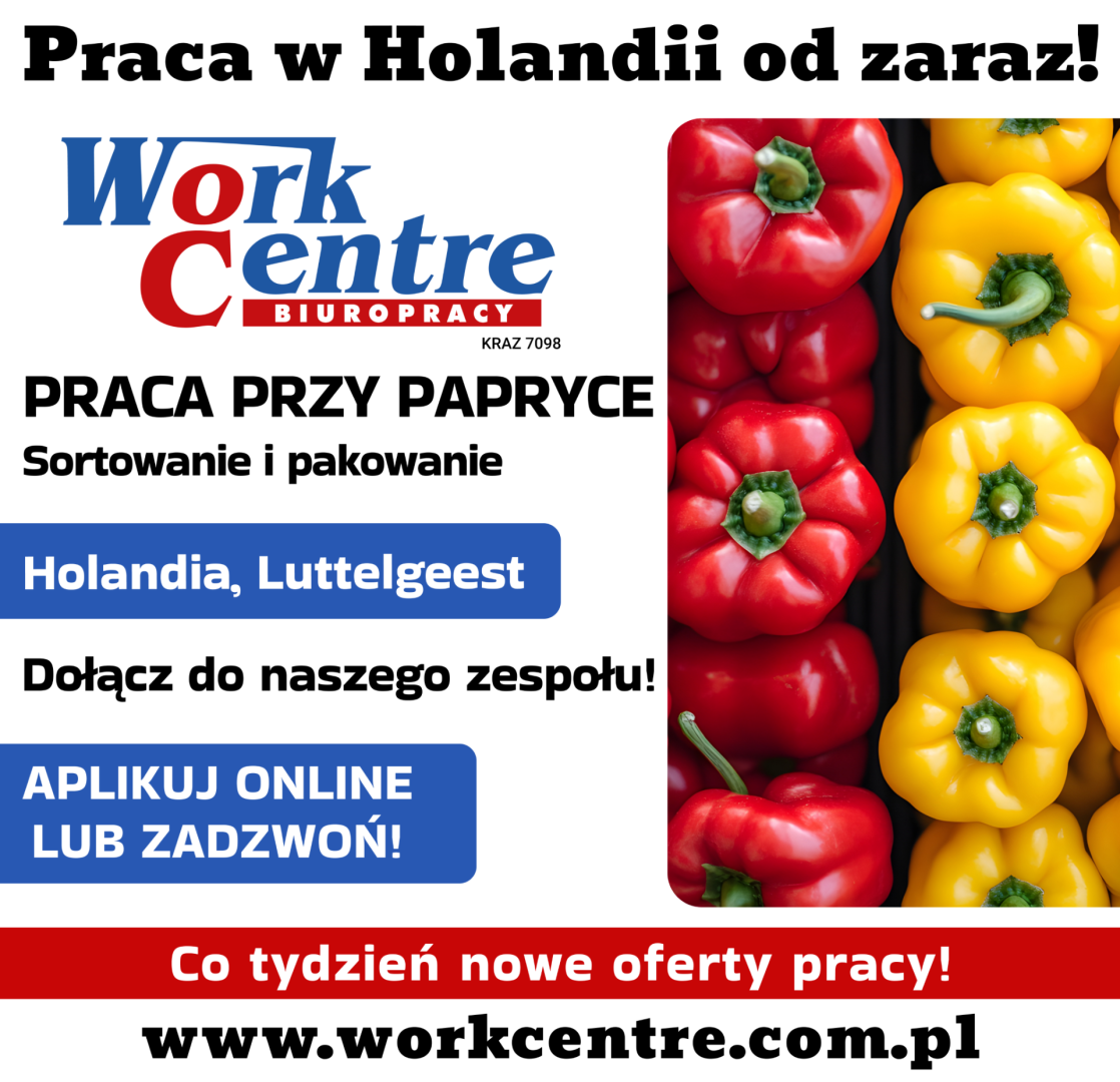 Sortowanie i pakowanie papryki (k/m) Oferta pracy w Holandii