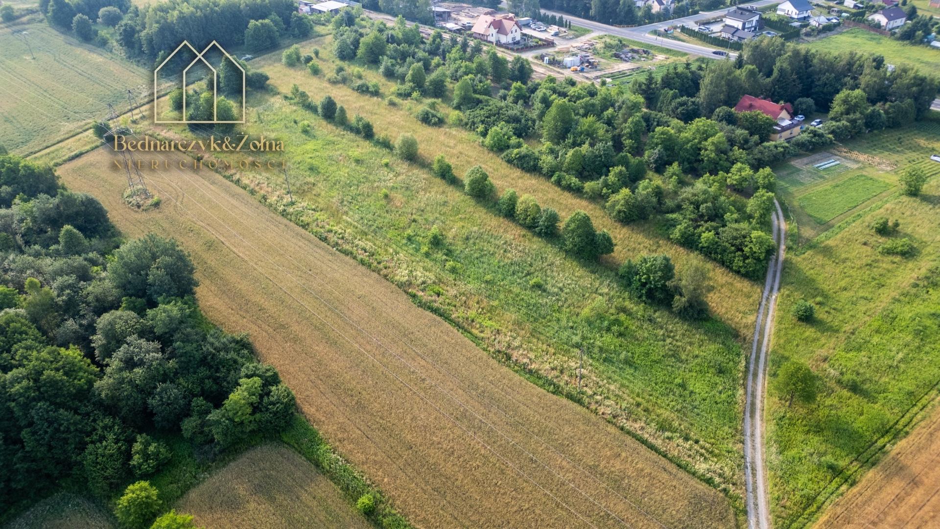 Działki budowlane z warunkami zabudowy w Warzycach - Spokojna okolica