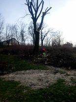 Wycinka drzew rębak frezowanie pni zwyżka mulczer leśny