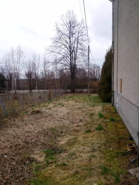 Wycinka drzew rębak frezowanie pni zwyżka mulczer leśny