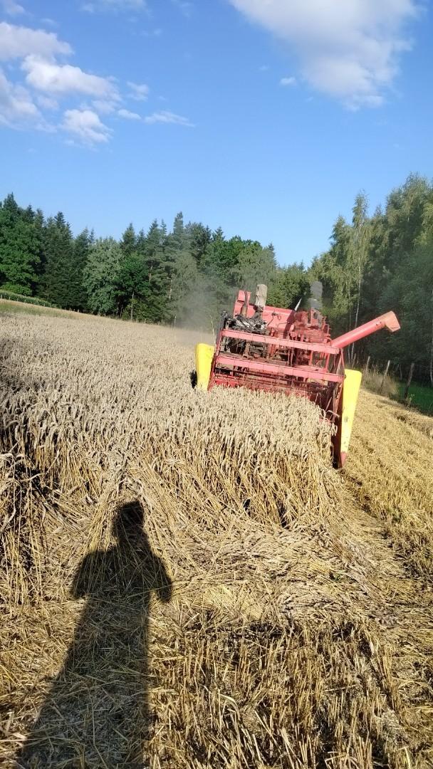 Kombajn Massey Ferguson 30