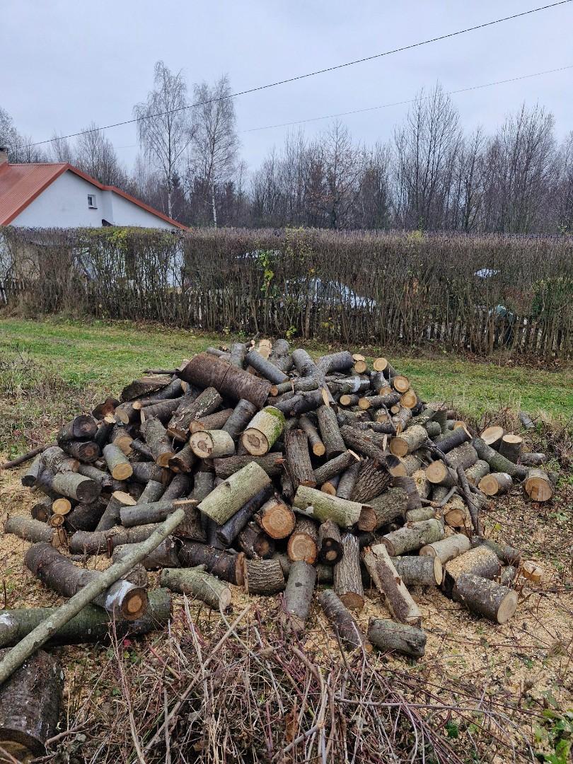 Drewno opałowe