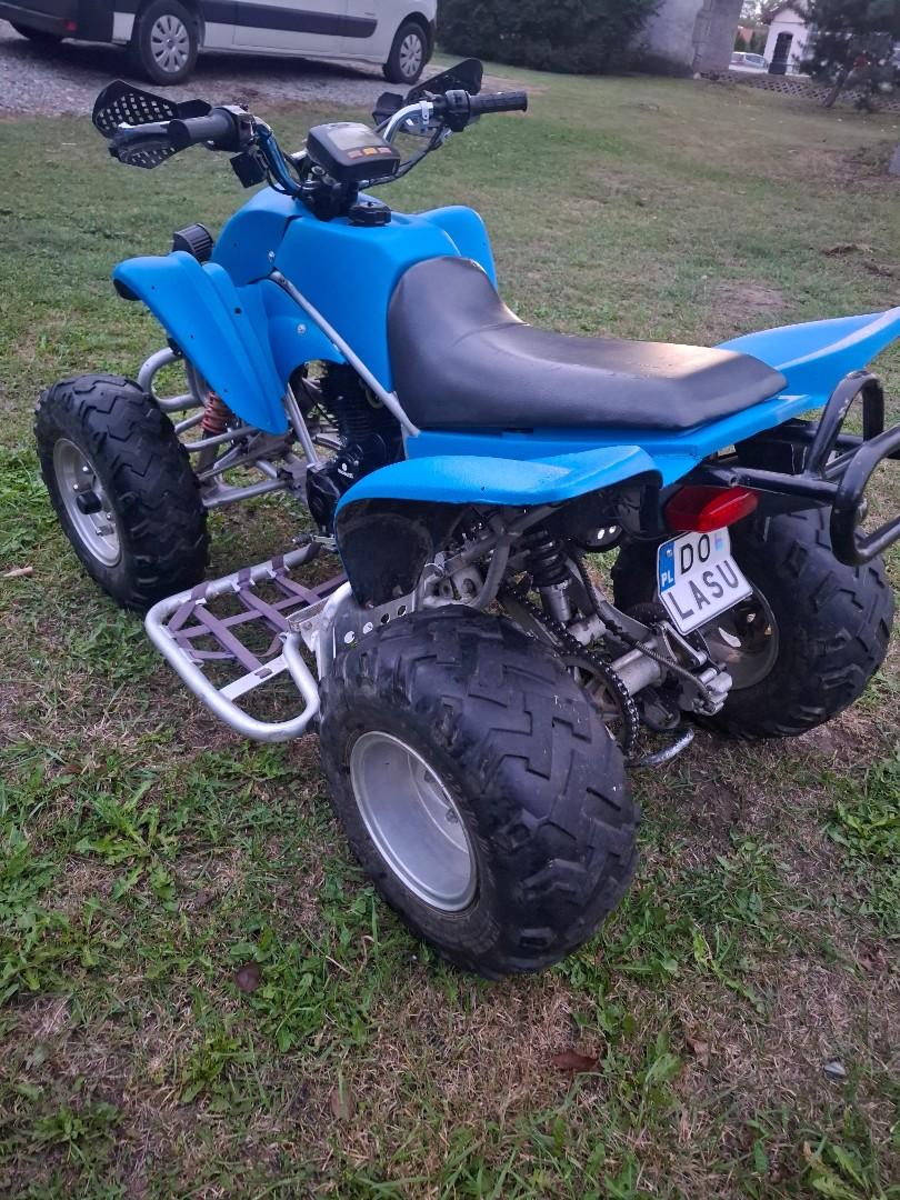 Quad Suzuki