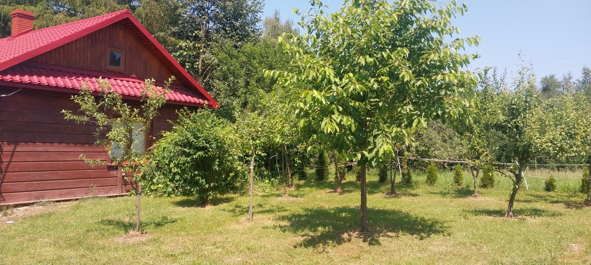 Dom z duszą i dużym ogrodem.