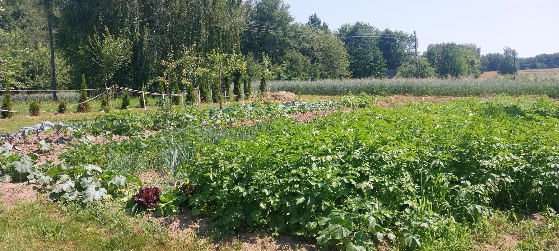 Dom z duszą i dużym ogrodem.