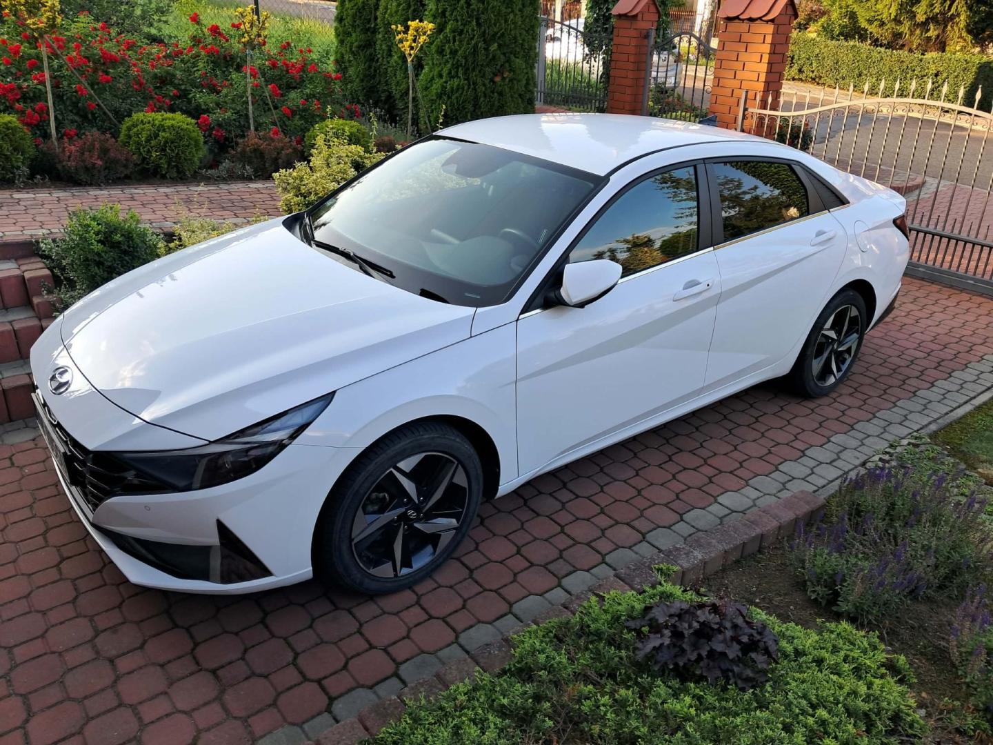 hyundai elantra executive