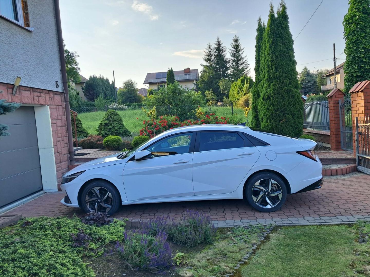 hyundai elantra executive
