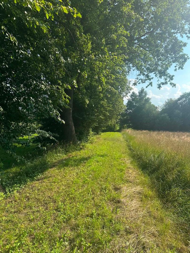 Sprzedam działkę rolną Bączal Dolny