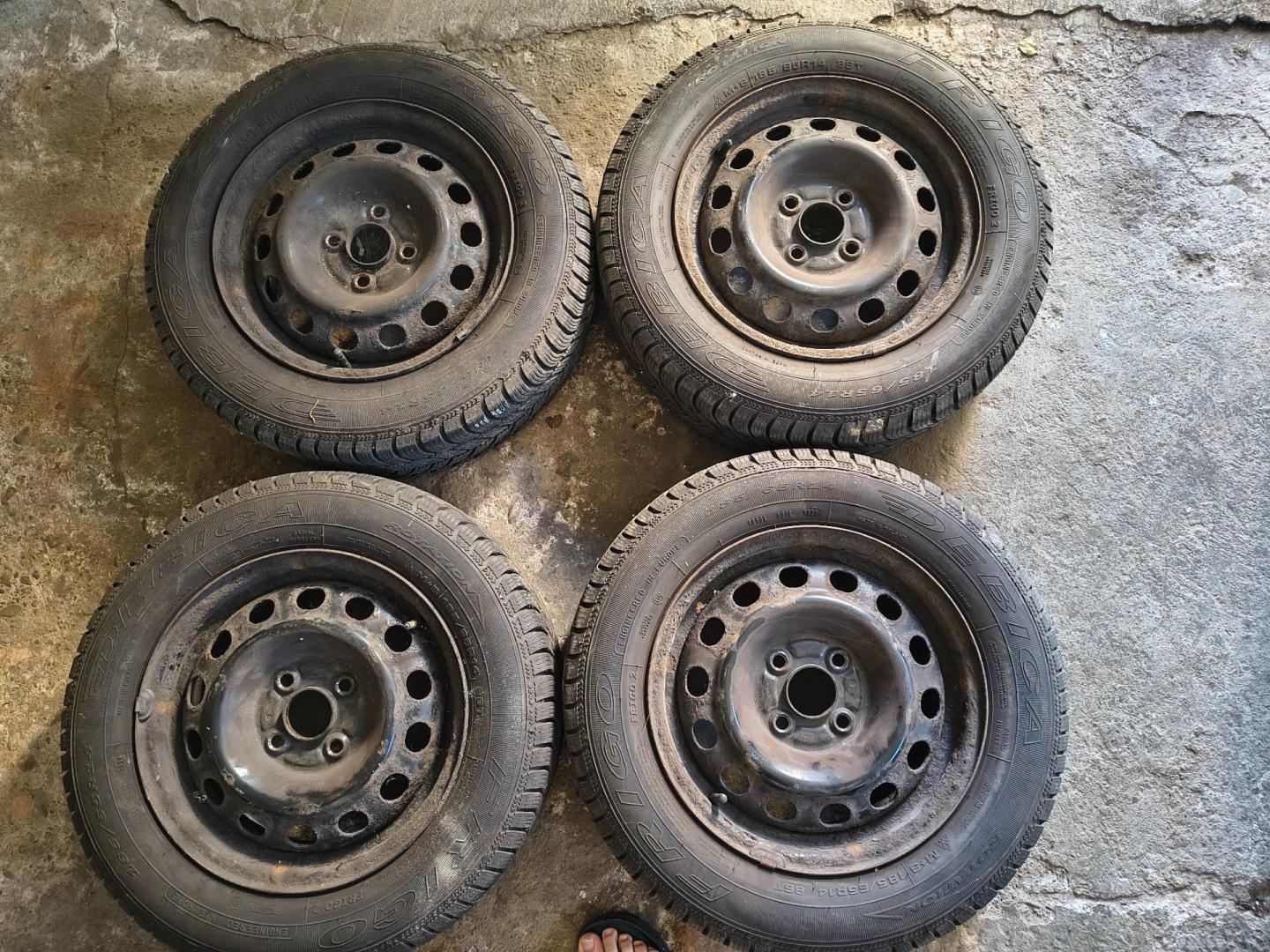 Opony zimowe z felgami - Dębica frigo 2 185/65 r14