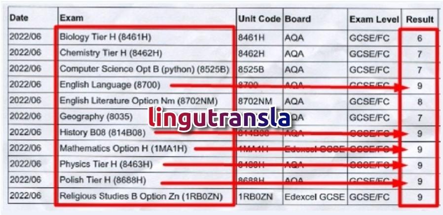 Skuteczne Korepetycje Online i Digital Marketing po angielsku i polsku