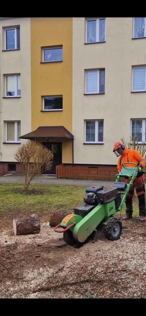 Frezowanie pni, Karczowanie i Mulczowanie działek