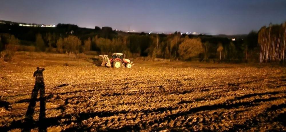 Frezowanie pni, Karczowanie i Mulczowanie działek
